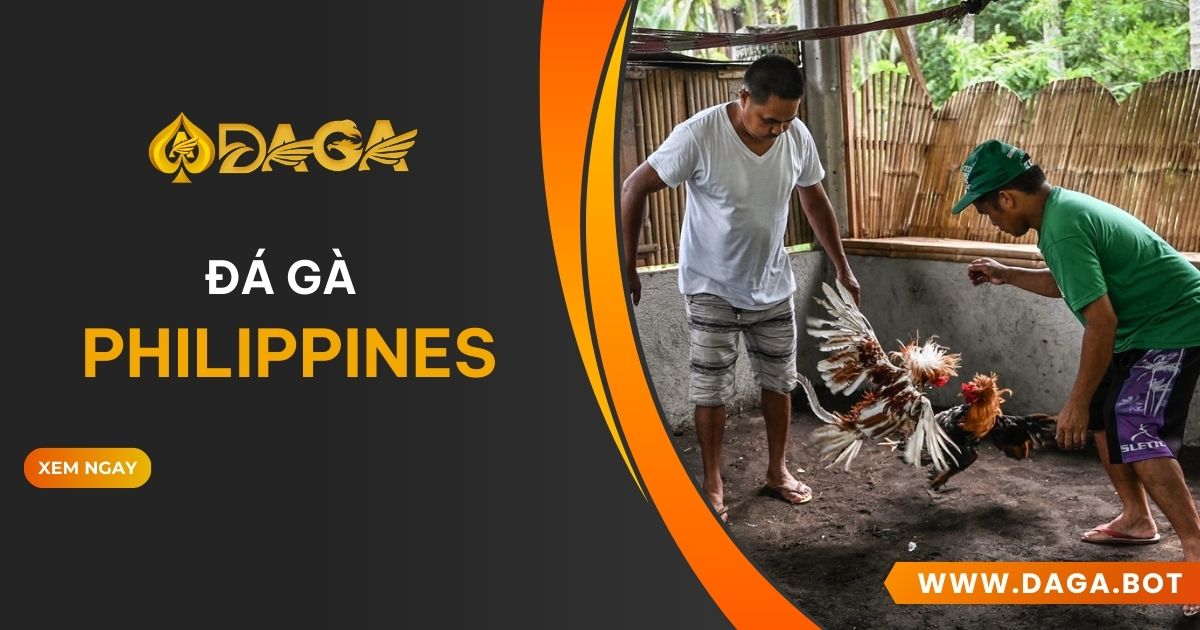 Đá gà Philippines tại Daga