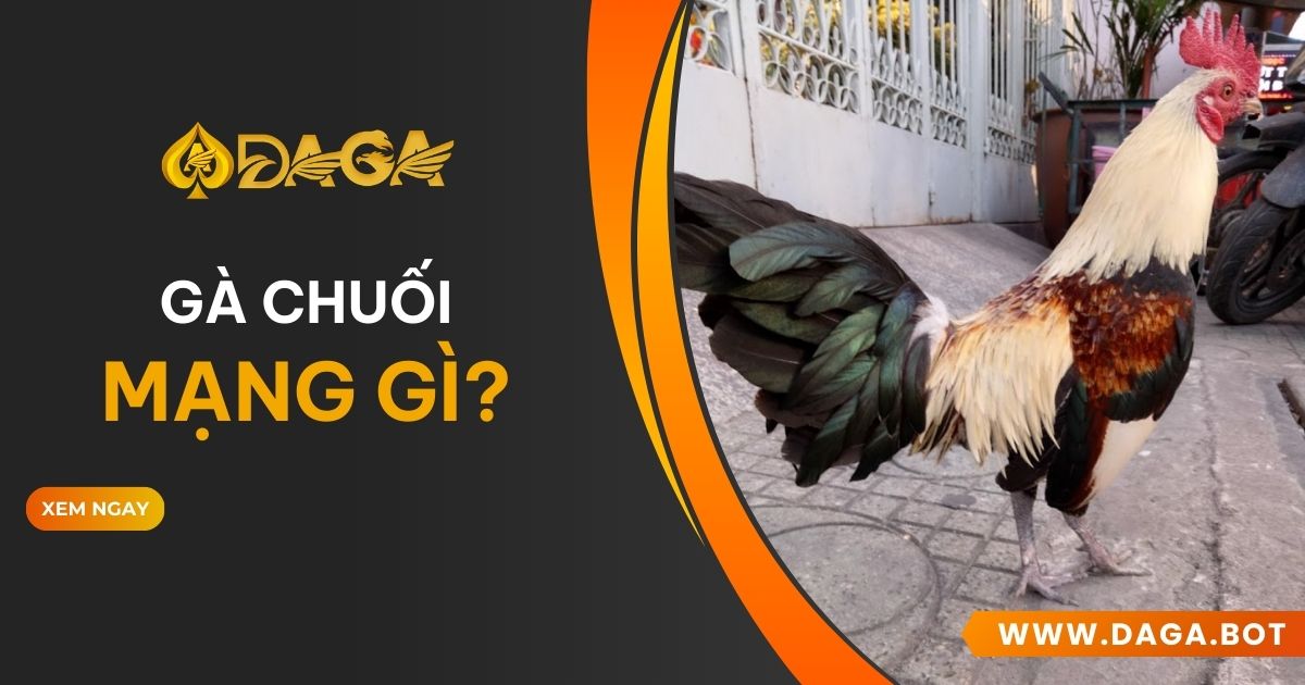 Gà chuối mạng gì?